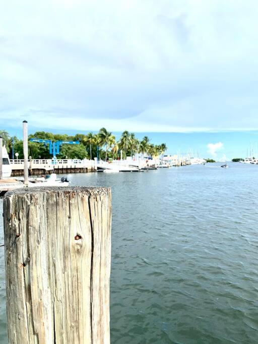 Groveo6 10 Minutes From The Beach Miami Ngoại thất bức ảnh