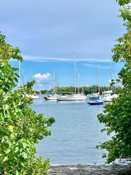 Groveo6 10 Minutes From The Beach Miami Ngoại thất bức ảnh